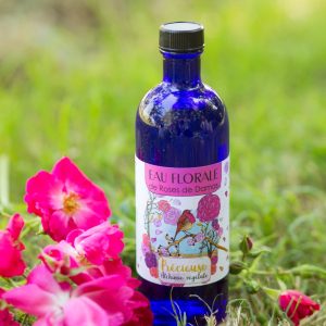 Eau florale de roses de Damas, jardin de roses, Bretagne
